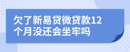欠了新易贷微贷款12个月没还会坐牢吗