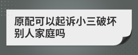 原配可以起诉小三破坏别人家庭吗