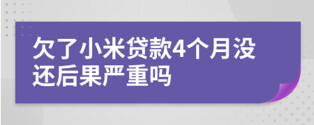欠了小米贷款4个月没还后果严重吗