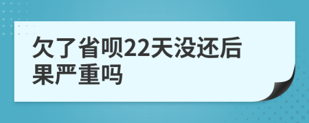 欠了省呗22天没还后果严重吗