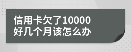 信用卡欠了10000好几个月该怎么办