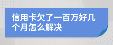 信用卡欠了一百万好几个月怎么解决