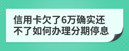 信用卡欠了6万确实还不了如何办理分期停息