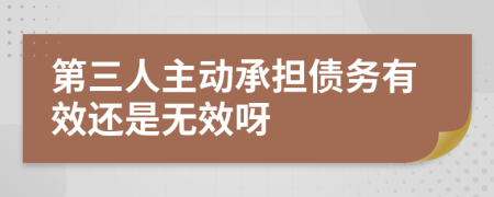 第三人主动承担债务有效还是无效呀