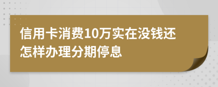 信用卡消费10万实在没钱还怎样办理分期停息