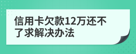 信用卡欠款12万还不了求解决办法