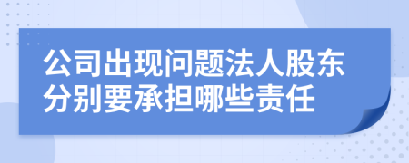 公司出现问题法人股东分别要承担哪些责任