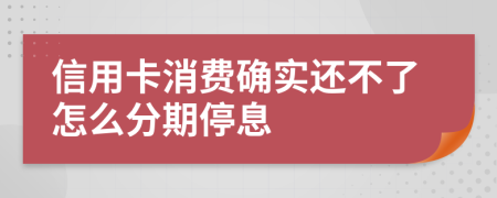 信用卡消费确实还不了怎么分期停息