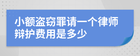 小额盗窃罪请一个律师辩护费用是多少