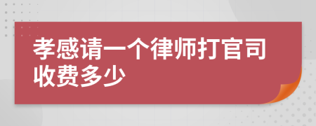 孝感请一个律师打官司收费多少