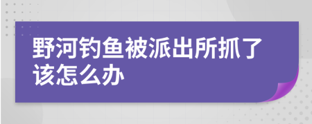 野河钓鱼被派出所抓了该怎么办