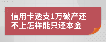 信用卡透支1万破产还不上怎样能只还本金