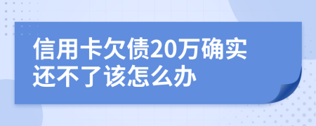 信用卡欠债20万确实还不了该怎么办