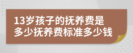 13岁孩子的抚养费是多少抚养费标准多少钱