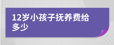 12岁小孩子抚养费给多少