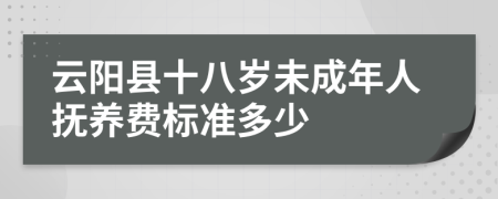 云阳县十八岁未成年人抚养费标准多少