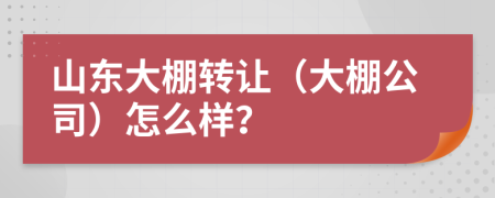 山东大棚转让（大棚公司）怎么样？