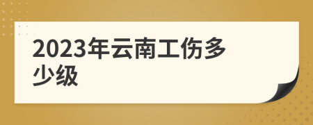 2023年云南工伤多少级