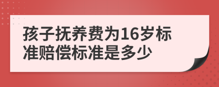孩子抚养费为16岁标准赔偿标准是多少