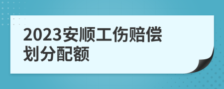 2023安顺工伤赔偿划分配额