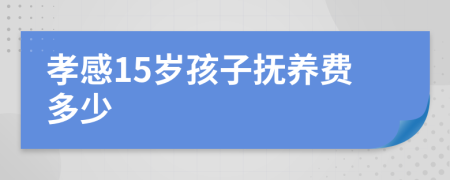 孝感15岁孩子抚养费多少