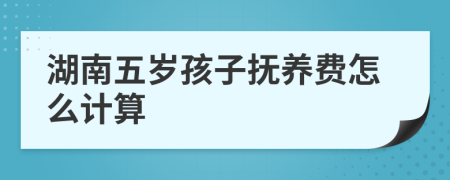 湖南五岁孩子抚养费怎么计算
