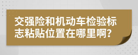 交强险和机动车检验标志粘贴位置在哪里啊？