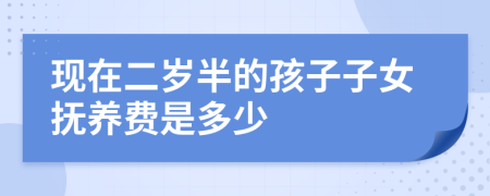 现在二岁半的孩子子女抚养费是多少