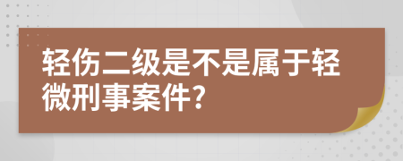 轻伤二级是不是属于轻微刑事案件?