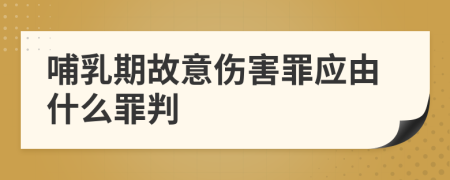 哺乳期故意伤害罪应由什么罪判