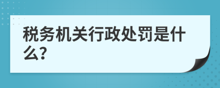税务机关行政处罚是什么？
