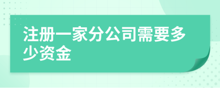 注册一家分公司需要多少资金