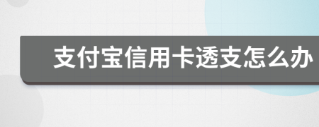 支付宝信用卡透支怎么办