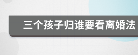 三个孩子归谁要看离婚法
