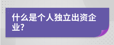 什么是个人独立出资企业?