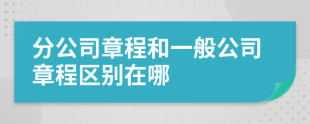 分公司章程和一般公司章程区别在哪