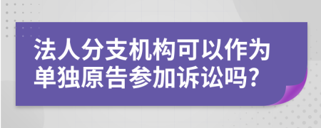 法人分支机构可以作为单独原告参加诉讼吗?