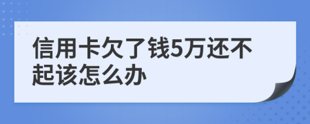 信用卡欠了钱5万还不起该怎么办