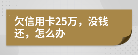 欠信用卡25万，没钱还，怎么办