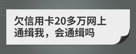 欠信用卡20多万网上通缉我，会通缉吗