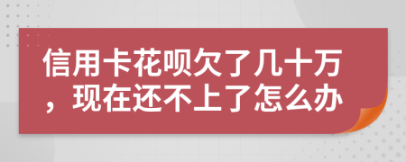 信用卡花呗欠了几十万，现在还不上了怎么办