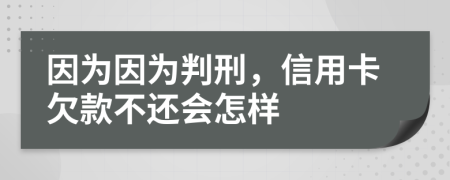 因为因为判刑，信用卡欠款不还会怎样