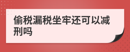 偷税漏税坐牢还可以减刑吗