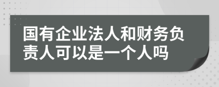 国有企业法人和财务负责人可以是一个人吗