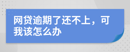 网贷逾期了还不上，可我该怎么办