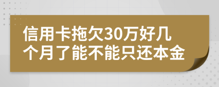 信用卡拖欠30万好几个月了能不能只还本金