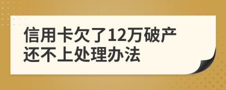 信用卡欠了12万破产还不上处理办法