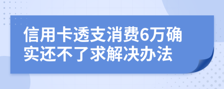 信用卡透支消费6万确实还不了求解决办法