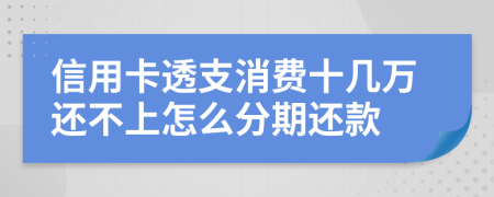 信用卡透支消费十几万还不上怎么分期还款