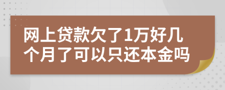 网上贷款欠了1万好几个月了可以只还本金吗
